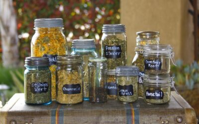 5 Top Herbal Remedy Brands