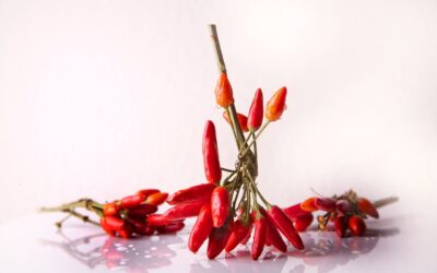 Healing Benefits of Capsaicin in Peppers – Hot Stuff!
