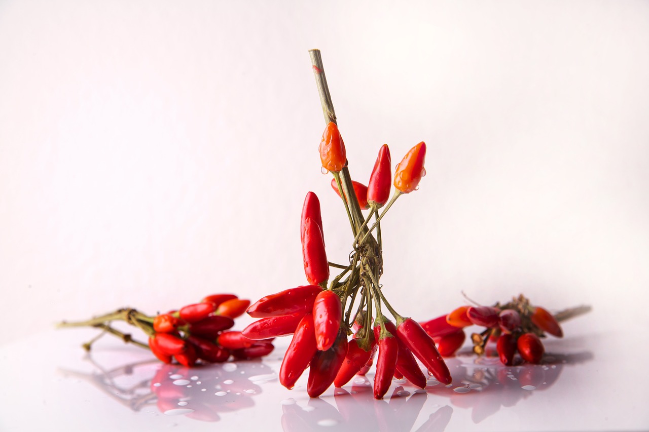 Healing Benefits of Capsaicin - Peppers