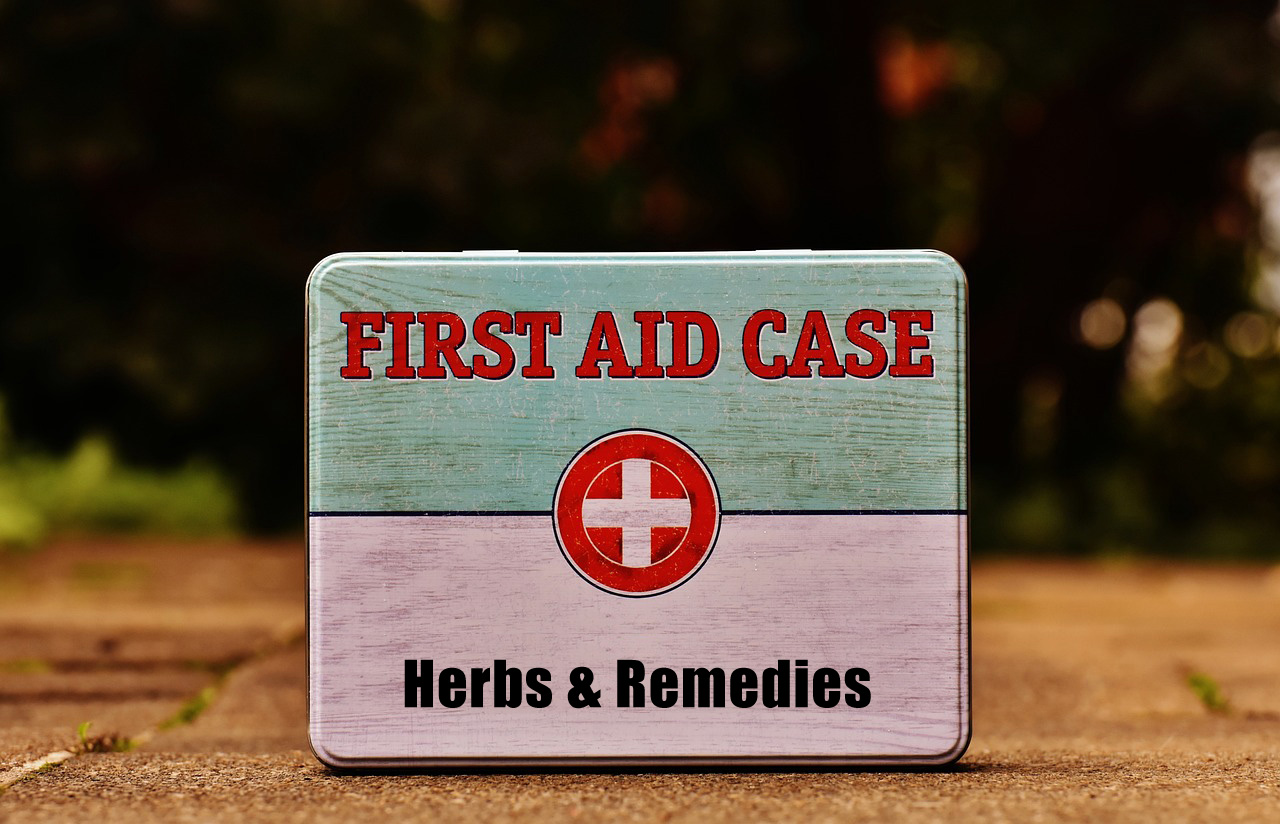 Herbal First Aid Kit - Make Your Own!