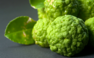 Beneficial Effects of Bergamot