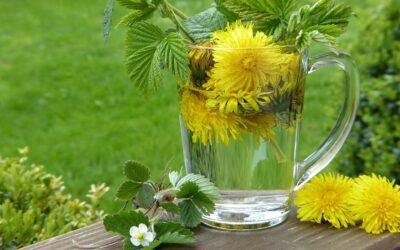 Herbs for Natural Detoxification