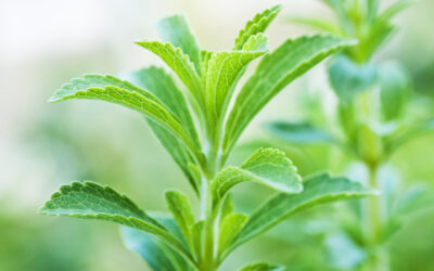 Sweet Leaf Stevia – Nature’s Healthy Sugar Alternative