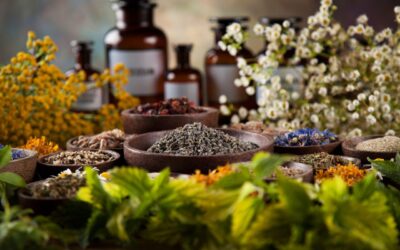 Quality Herbal Remedies – How to Tell Which are Best