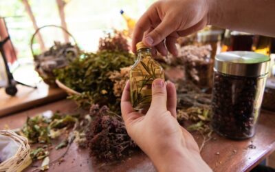 Ask Your Herbalist – Top 10 Questions